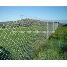 Anping fabricação de alta qualidade Cadeia Link Fence